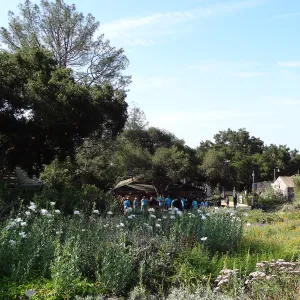 Citrix volunteers, SBBG staff, entrance oak, May 2013