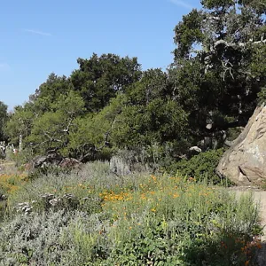 Blaksley Boulder, douglas fir is removed, May 2013, Information Kiosk, panorama