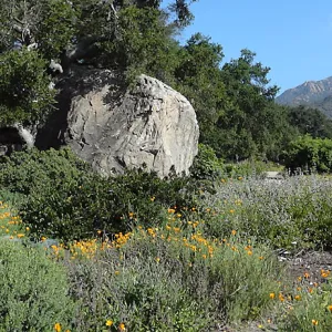 Blaksley Boulder, douglas fir is removed, May 2013, panorama