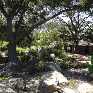 Under the Meadow Oaks, Information Kiosk, SBBG
