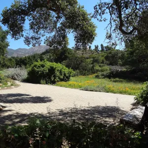 Under the Meadow Oaks, view from Blaskley Boulder to the west side of the Meadow