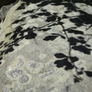 Shadow, Desert Section, sandstone boulder