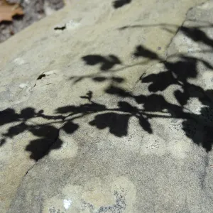 Shadow, Desert Section, sandstone boulder