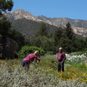 Photographer in the Meadow, Stacy Bloodworth, Dieter Wilken portrait session