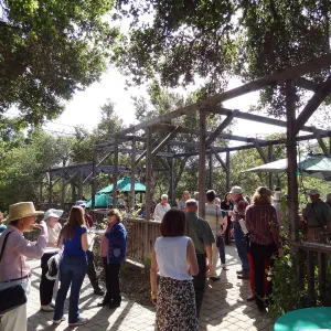 Wine and Cheese Lecture Series kick-off event with Jaffurs Wine Cellars