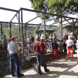 Wine and Cheese Lecture Series kick-off event with Jaffurs Wine Cellars