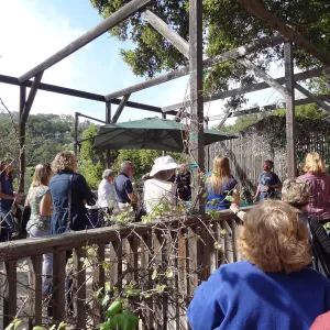 Wine and Cheese Lecture Series kick-off event with Jaffurs Wine Cellars