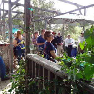 Wine and Cheese Lecture Series kick-off event with Jaffurs Wine Cellars