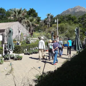 Special Garden Tour for a group of garden enthusiasts from England at the SBBG