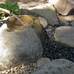 Tsukubai at the Teahouse