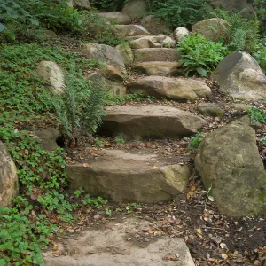 Stone steps leading from Arroyo to Manzanita Section