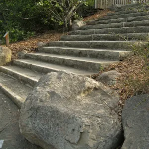Old entrance steps, SBBG