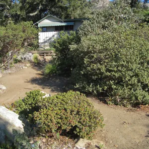 Manzanita section, SBBG