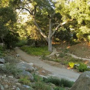 Arroyo Section
