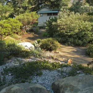 Heading towards the Home Demo Garden, SBBG