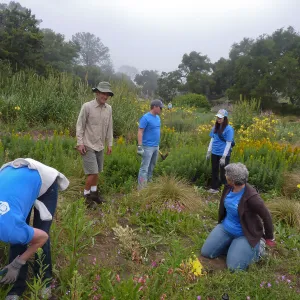 Volunteers from Citrix Corp