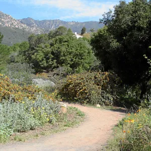 Porter Trail, wooden north gate