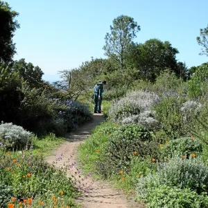 Porter Trail,East path south