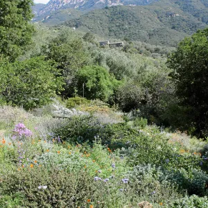 Porter Trail, East path, northeast