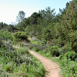 Porter Trail,West path, south