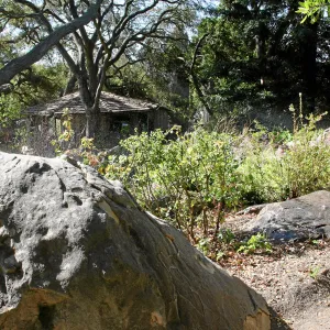 Brook, across display south