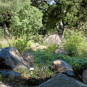 Brook, across display north