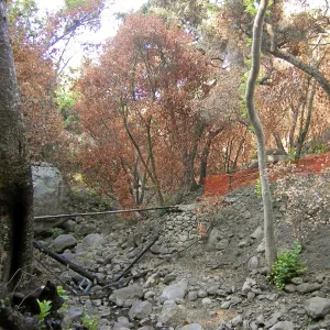 Fire damage, Campbell Bridge site