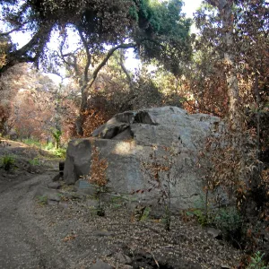 Fire damage in the Canyon, Lassiter Boulder