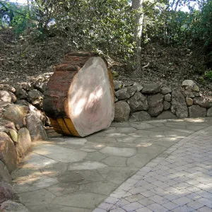 Redwood log in Arroyo Section