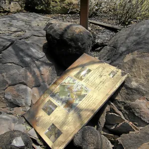 Jesusita Fire, damage to Home Demonstration Garden