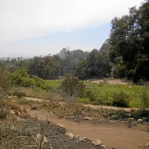 Jesusita Fire damage, Meadow View
