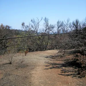 Jesusita Fire, Pritchett Trail