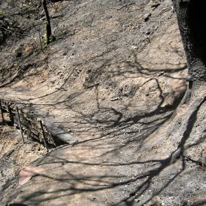 Erosion on the Pritchett Trail post Jesusita Fire