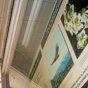 Information Kiosk, Exisiting Cabinets