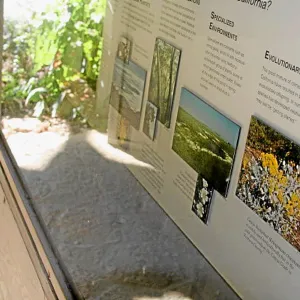 Information Kiosk, existing cabinets
