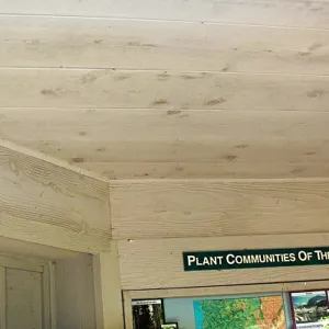 Information Kiosk, interior