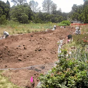 Irrigation installation, Meadow Lawn 2008