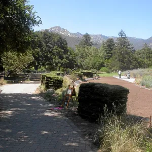 Irrigation installation, Meadow Lawn 2008