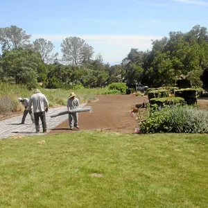 Irrigation installation, Meadow Lawn 2008