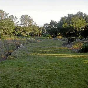 Festuca lawn installed, Meadow Lawn 2008