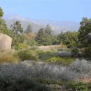 Meadow Terrace, North view