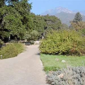 Meadow Terrace, North, next to Blaksley Boulder