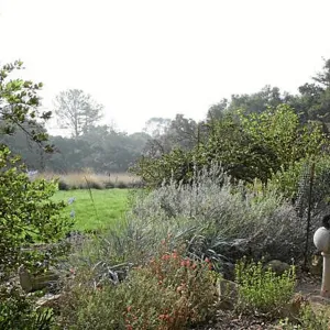 Meadow Terrace, south view