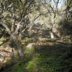 Toro canyon, winter