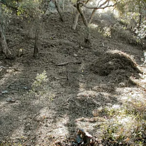Toro canyon, winter