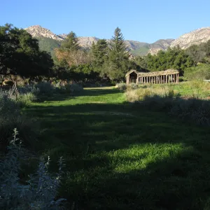 Meadow, festuca lawn, labyrinth in the distance