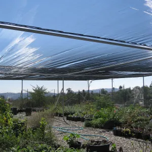 New shade cloth at lower canyard