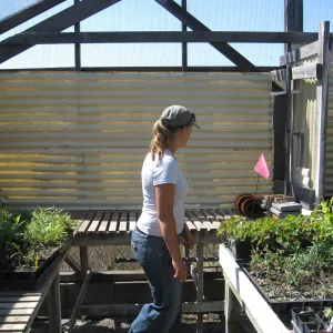 Heather Wehnau at Hort unit nursery shade house