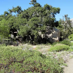 Groundcover display