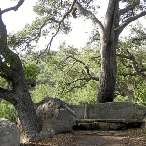 Bissell bench, Meadow Oaks